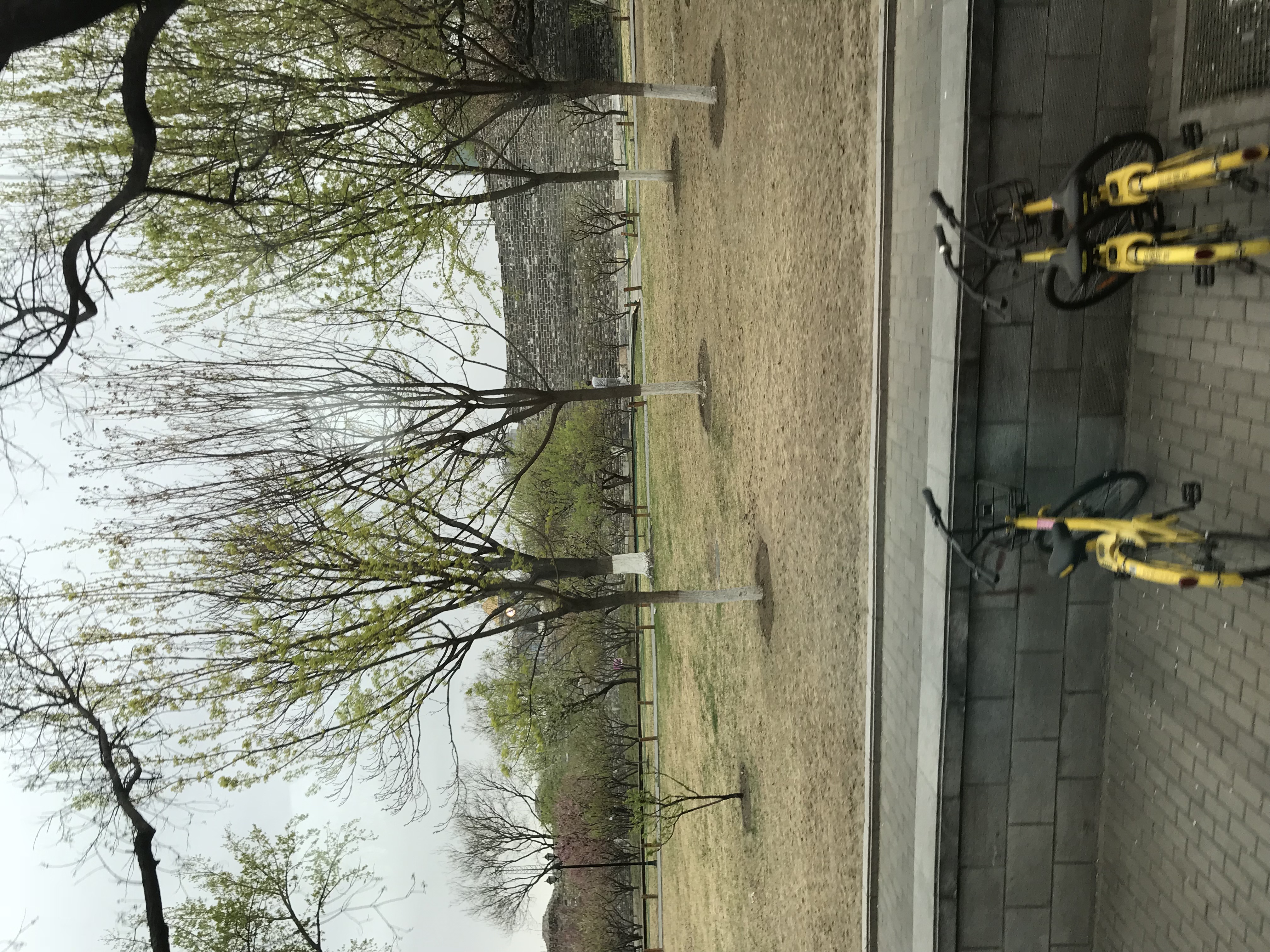 ./2018/03 - Viking China/09 - Beijing Miscellaneous/IMG_5749.JPG